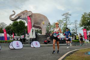 BIB: 
                            <button type="button" onclick="openModal(26528799)" class="btn btn-primary btn-sm float-right btn-popup" data-toggle="modal" data-target=".modal-high-quality">
                        <i class="fas fa-shopping-cart"></i> Add to Cart
                    </button>
                                            <button type="button" onclick="isThisMe(26528799, true)" class="btn btn-success btn-sm float-right btn-popup btn-isme hidden" data-toggle="tooltip" data-placement="bottom" title="นี่คือรูปของคุณใช่ไหม คลิกที่นี่เพื่อเอาเข้าอัลบั้ม">
                        <i class="fas fa-plus"></i> Add to album
                    </button>
                    <button type="button" onclick="isThisMe(26528799, false)" class="btn btn-warning btn-sm float-right btn-popup btn-isnotme hidden">
                        <i class="fas fa-ban"></i> Remove from album
                    </button>